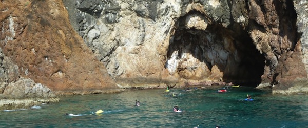 Snorkelling at the Caves on Norman Island