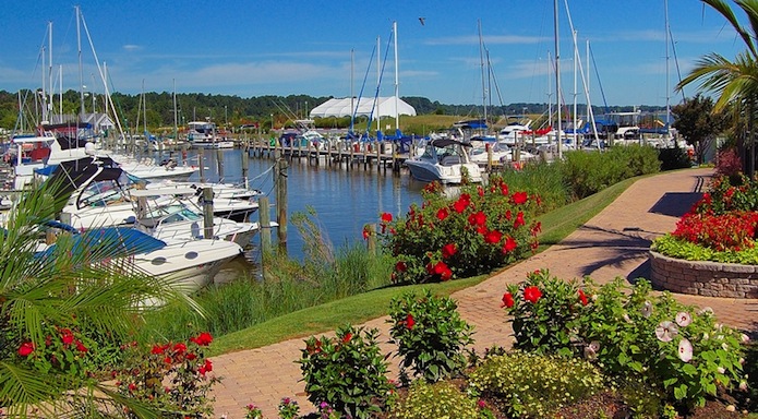 Image from HerringtonHarbor.com
