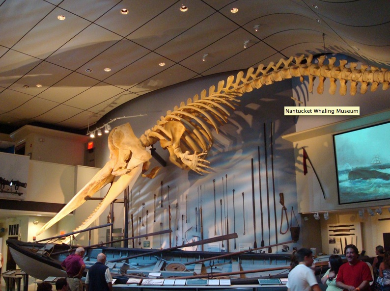 Nantucket Whaling museum