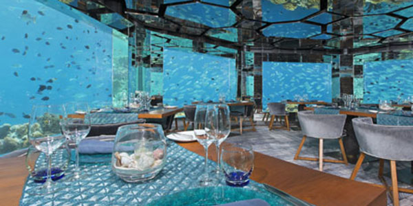 Sea-underwater-restaurant-255