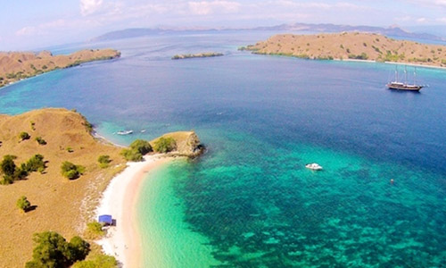 The Komodo Dragon of Indonesia - Yacht Charter News and Boating Blog