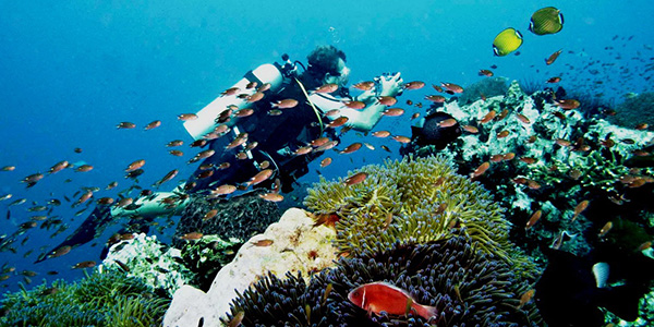 Similan_Dive_Center_-_Similan_islands