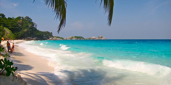 Photo credit from Similan Islands Organization