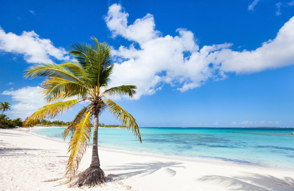 Explore the beaches of the Bahamas!