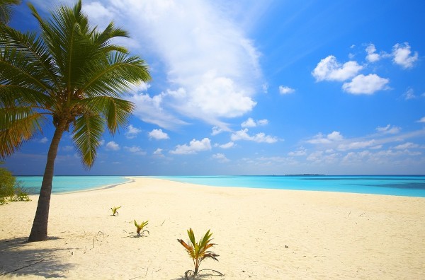 maldives_endless_beach_fd130d