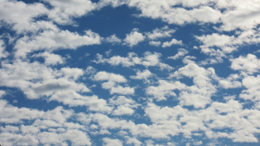Altocumulus clouds for sailors
