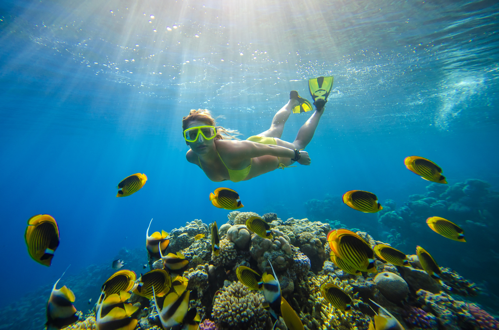 Caribbean Diving