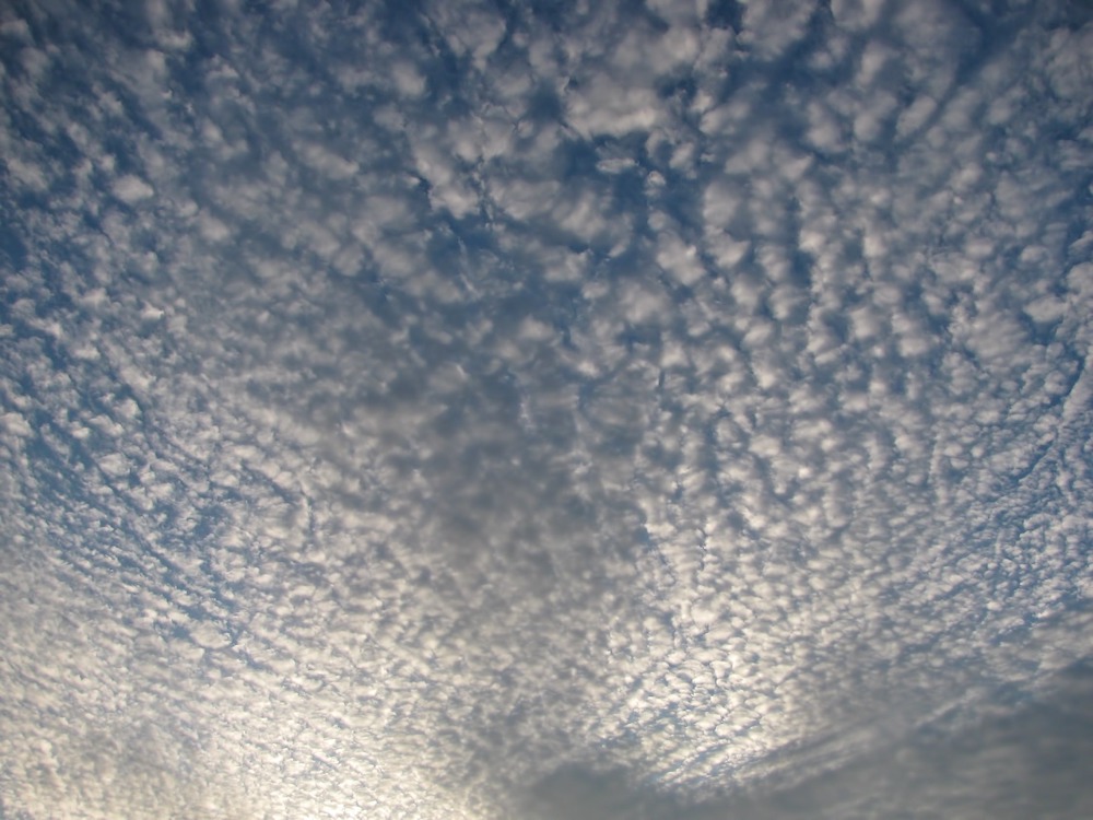 Cirrocumulus clouds