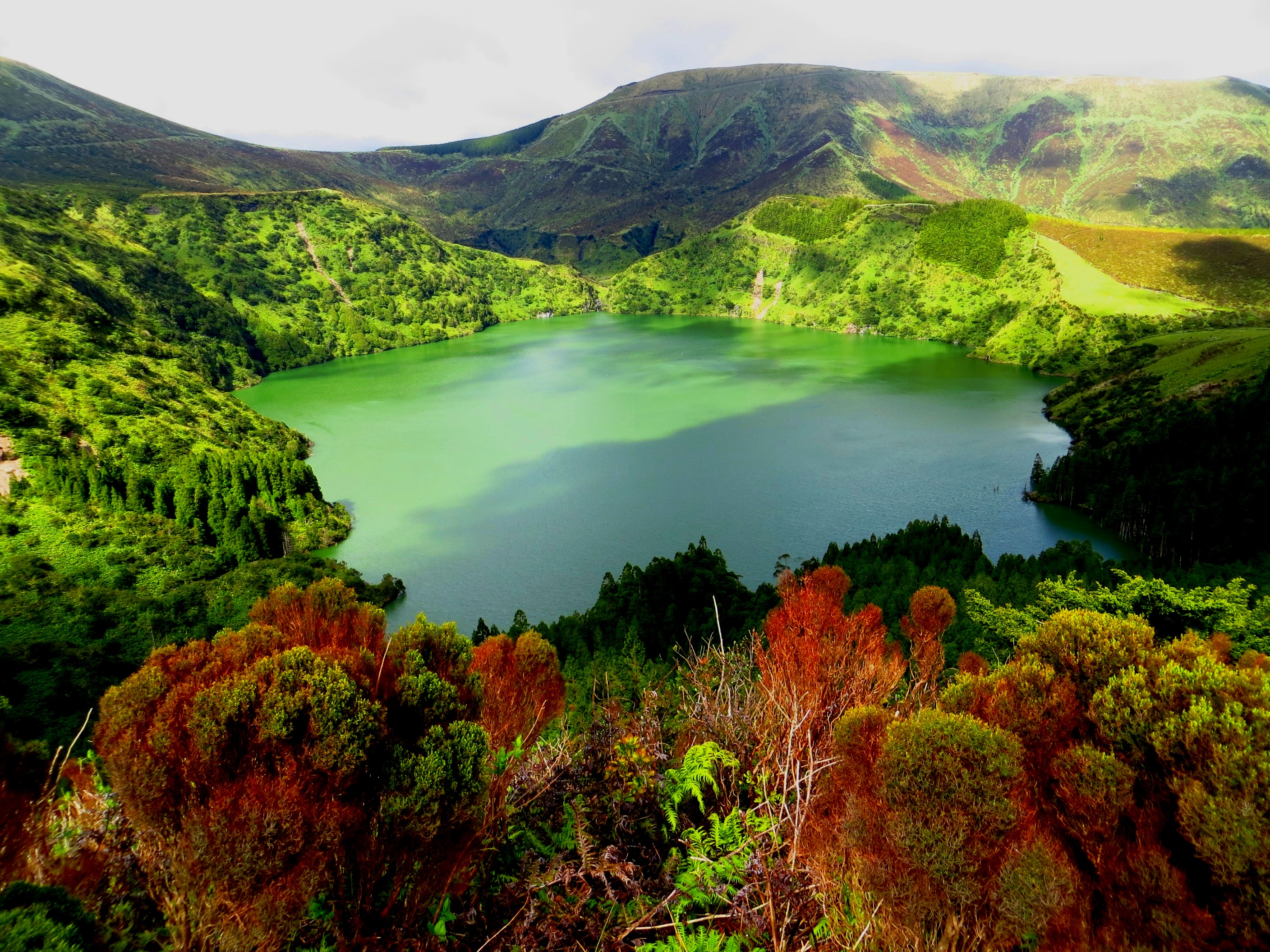Flores in the azores sailing