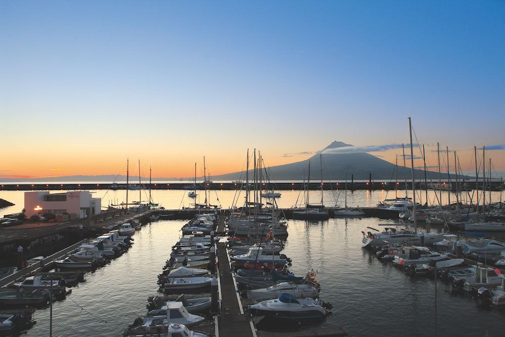 Marina da Horta sailing boatbookings yacht charter