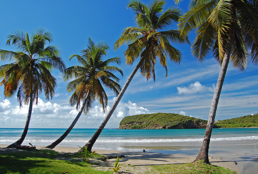 St Vincent & The Grenadines