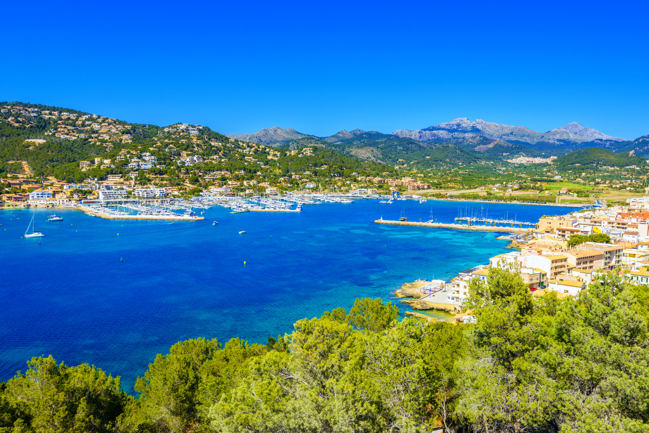 The beautiful Port Andratx