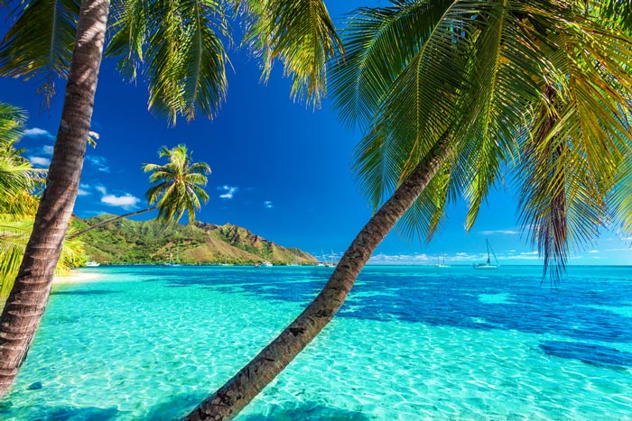 Visit Moorea in Tahiti