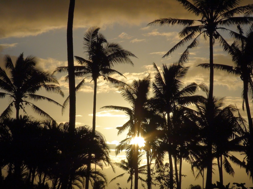 fiji holiday, Fiji yacht charter, Asia yacht rental