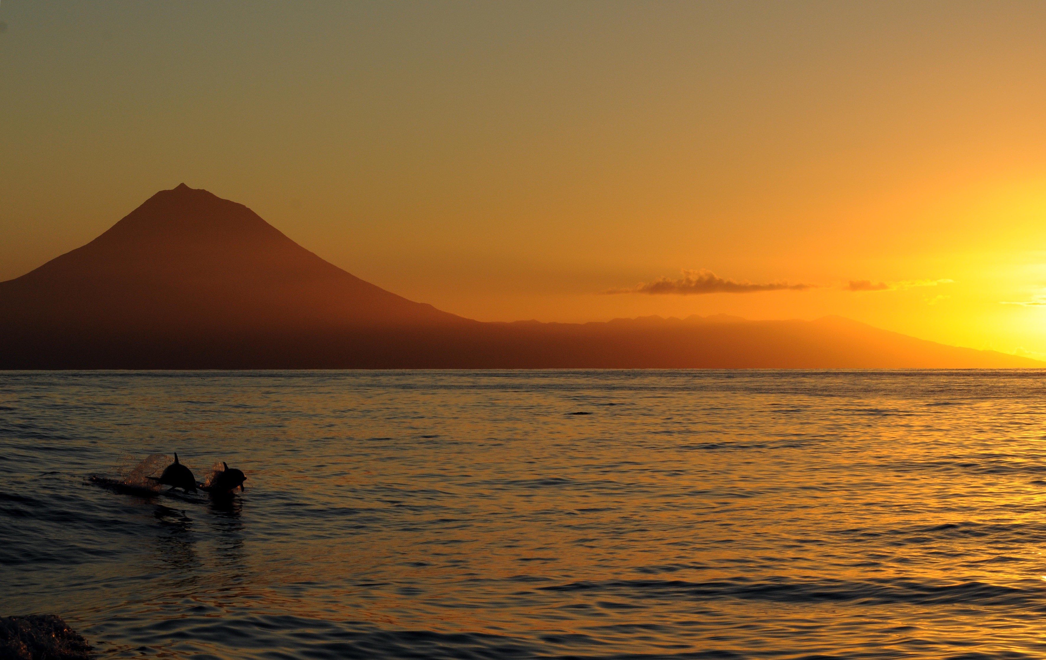 pico island sailing the azores