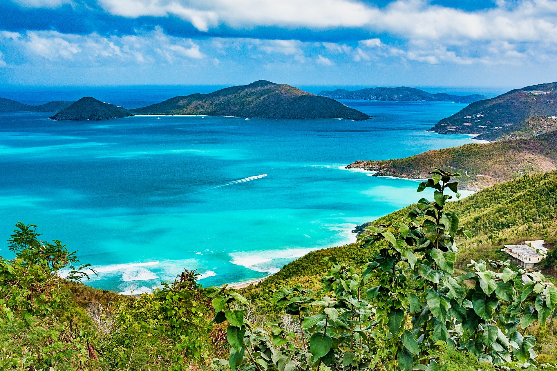 tortola