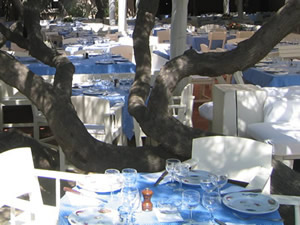 The Restaurant in Club 55 in St Tropez
