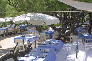 Dining under the trees at Club 55 in St Tropez