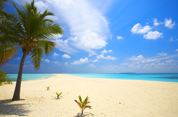 The Indian Ocean