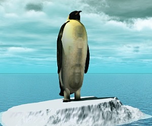 Save this penguin!