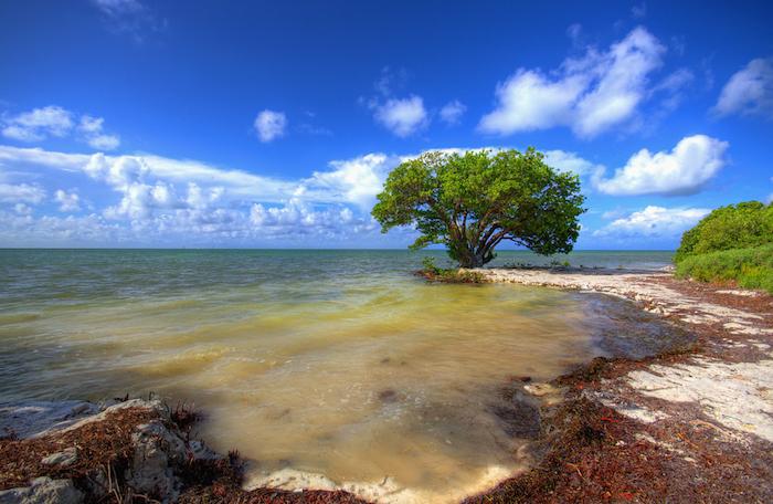 Islamorada, Florida Keys Overview and Charter Yachts