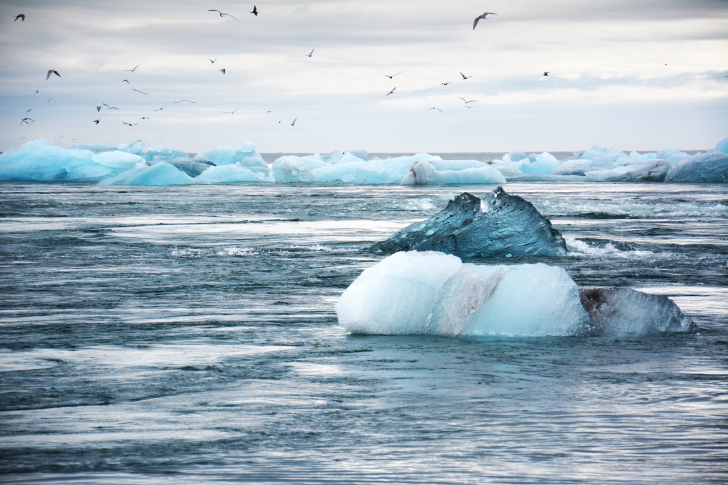 Global warming, Carbon offset calculator, sailing global emissions, global warming and motor boats,