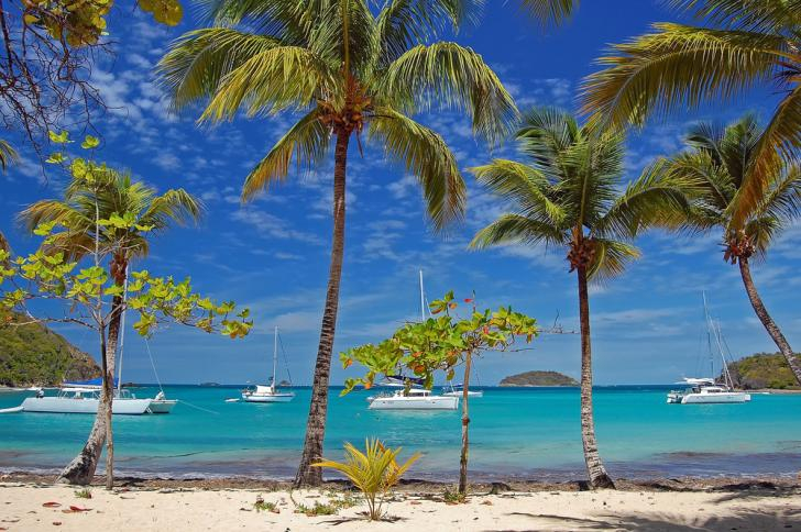 Grenadines