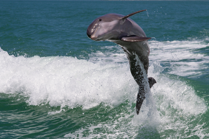 Tamba Bay 7 day sailing itinerary