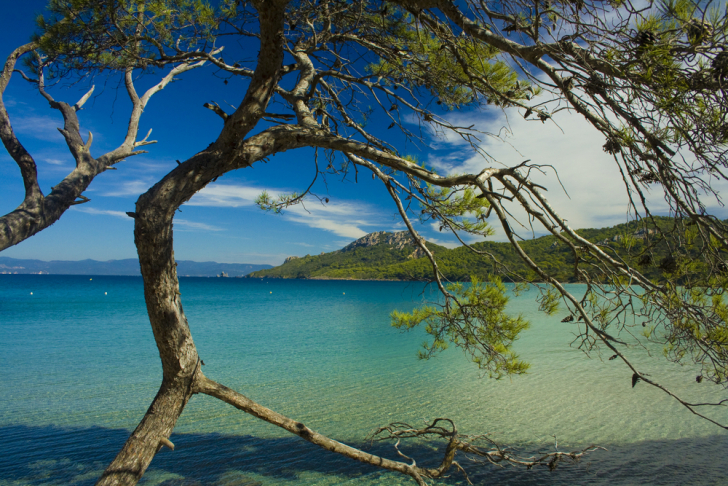 The Porquerolles