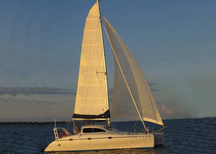 Custom 38 Cat