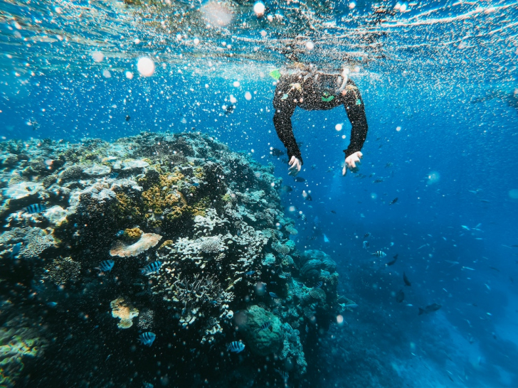 fiji holiday, Fiji yacht charter, Asia yacht rental