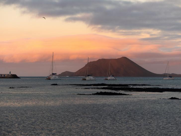 isla de loboos