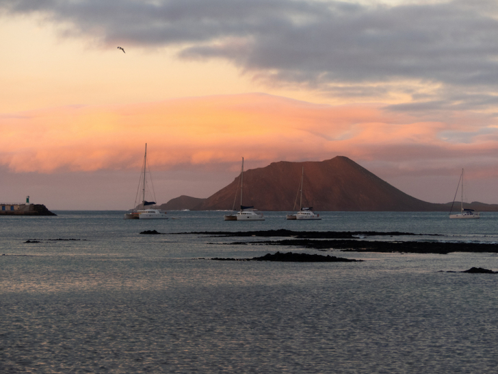 isla de loboos