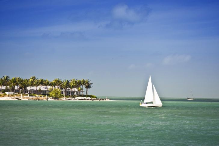 Miami Sailing Charters