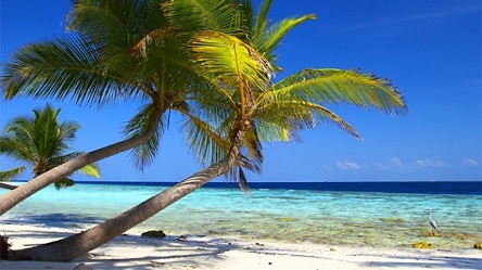 See all the yachts at anchor in the clear blue seas of the Caribbean.