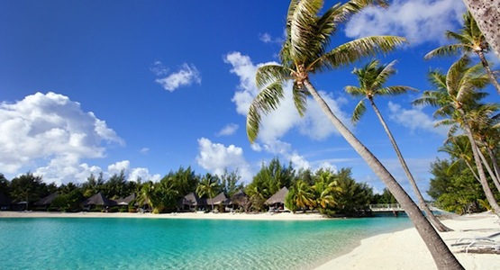 See all the beauties of the paradise island of Tahiti by sailboat.
