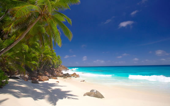 The gorgeous 5* luxury yacht  CAPRICORN  is ideal for your next charter