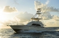 BILLISTIC - 50ft Bertram Sport fishing - Ft. Lauderdale