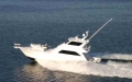PRIORITY - Viking Sport Fish 60ft - 2 Cabins - Florida - Key Largo