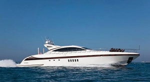 BEAR MARKET - Mangusta 92