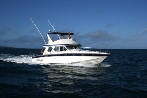 Fishing Boat BELUGA - Speville Craft - Fishing boat - Mauritius