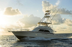 Fishing Boat BILLISTIC - 50ft Bertram Sport fishing - Ft. Lauderdale