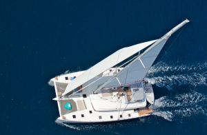 Avalon Best in Show Charter Catamaran